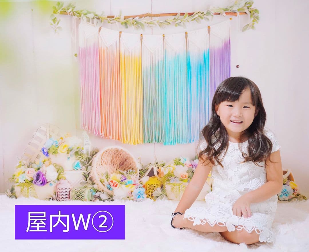 背景布【ぼかしJ】サンプル　ペット撮影用フォトブース　1月　玉ボケ　幻想的