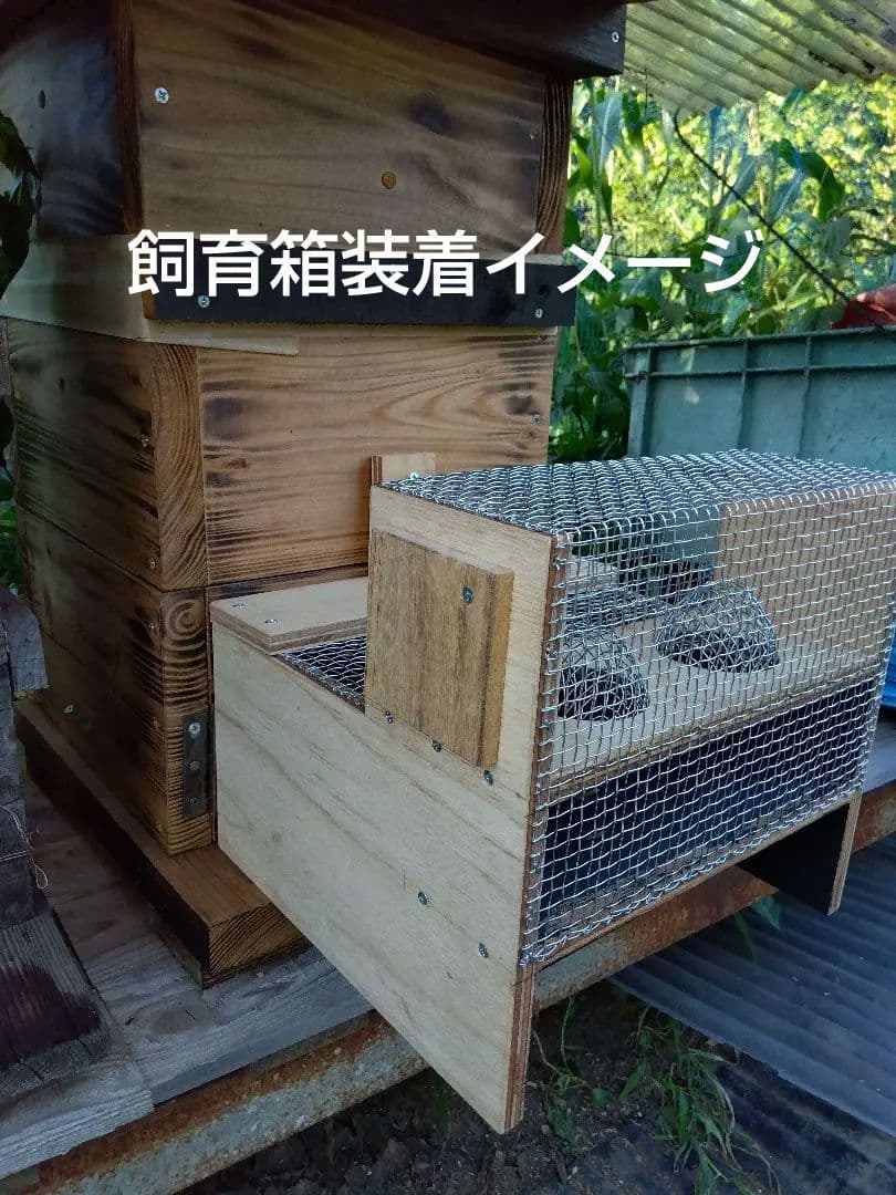 スズメバチ捕獲器 ３個まとめ売り 別名 スズメバチトラップ 生捕り器
