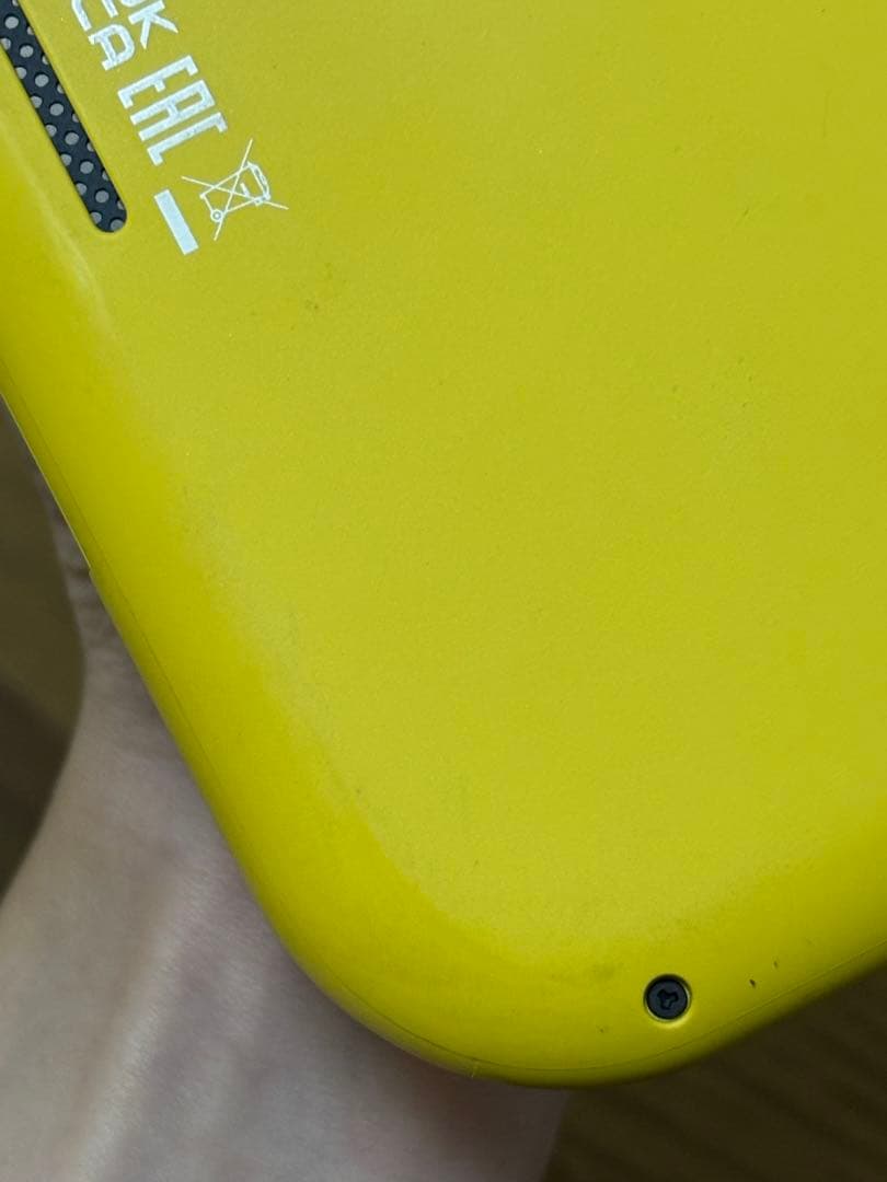 ニンテンドースイッチ ライト 本体 充電器付き