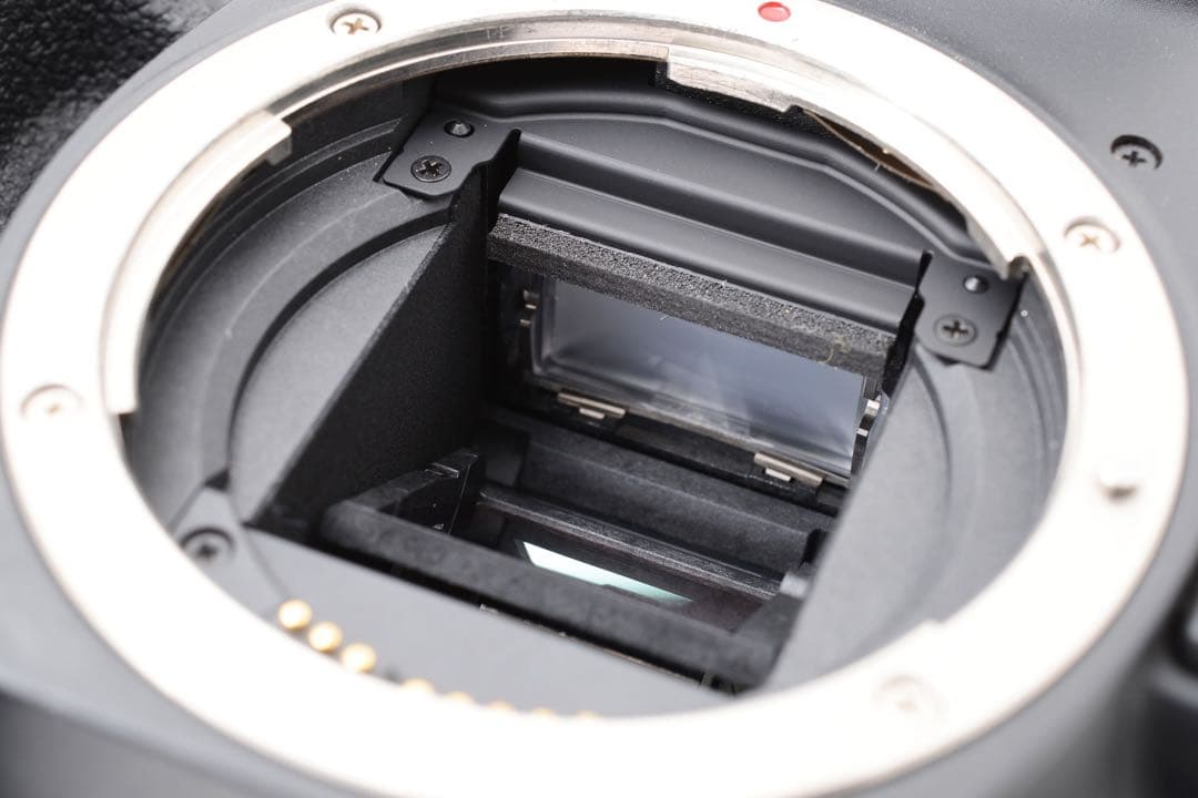 一眼レフカメラCanon EOS 90D 標準&望遠&単焦点トリプルレンズセット