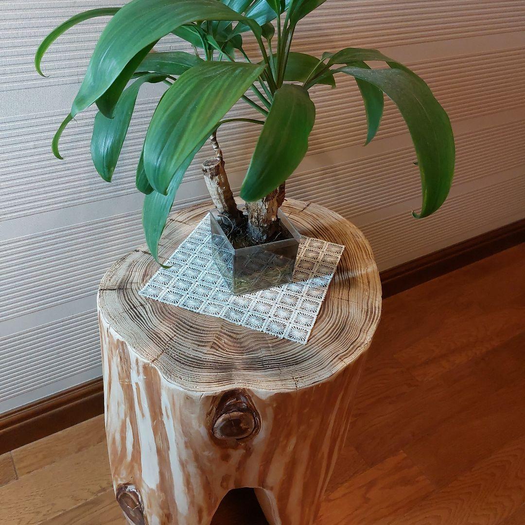 ★森の中で出会いそうな大きい丸太椅子