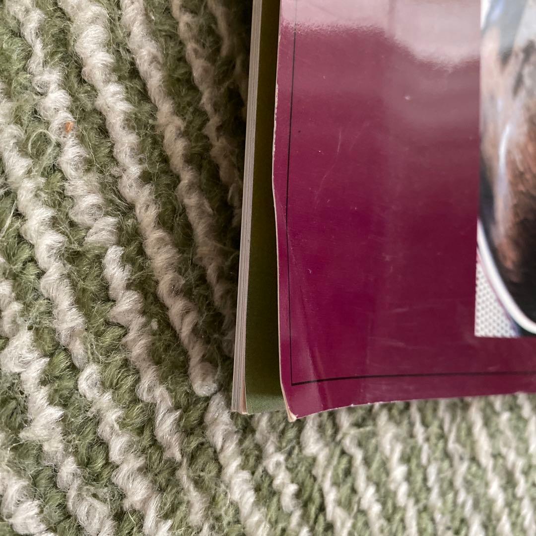 週刊100名馬 名馬 100選 ジェニュイン 全23冊