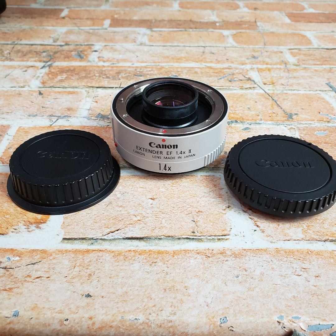 キャノン EF 300mm F2.8L EXTENDER EF 1.4x II