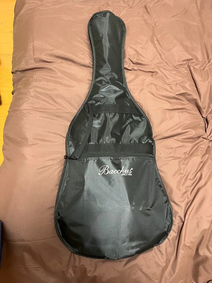 【調整済】Bacchus RSM バッカス　ストラト　エレキギター　やや美品