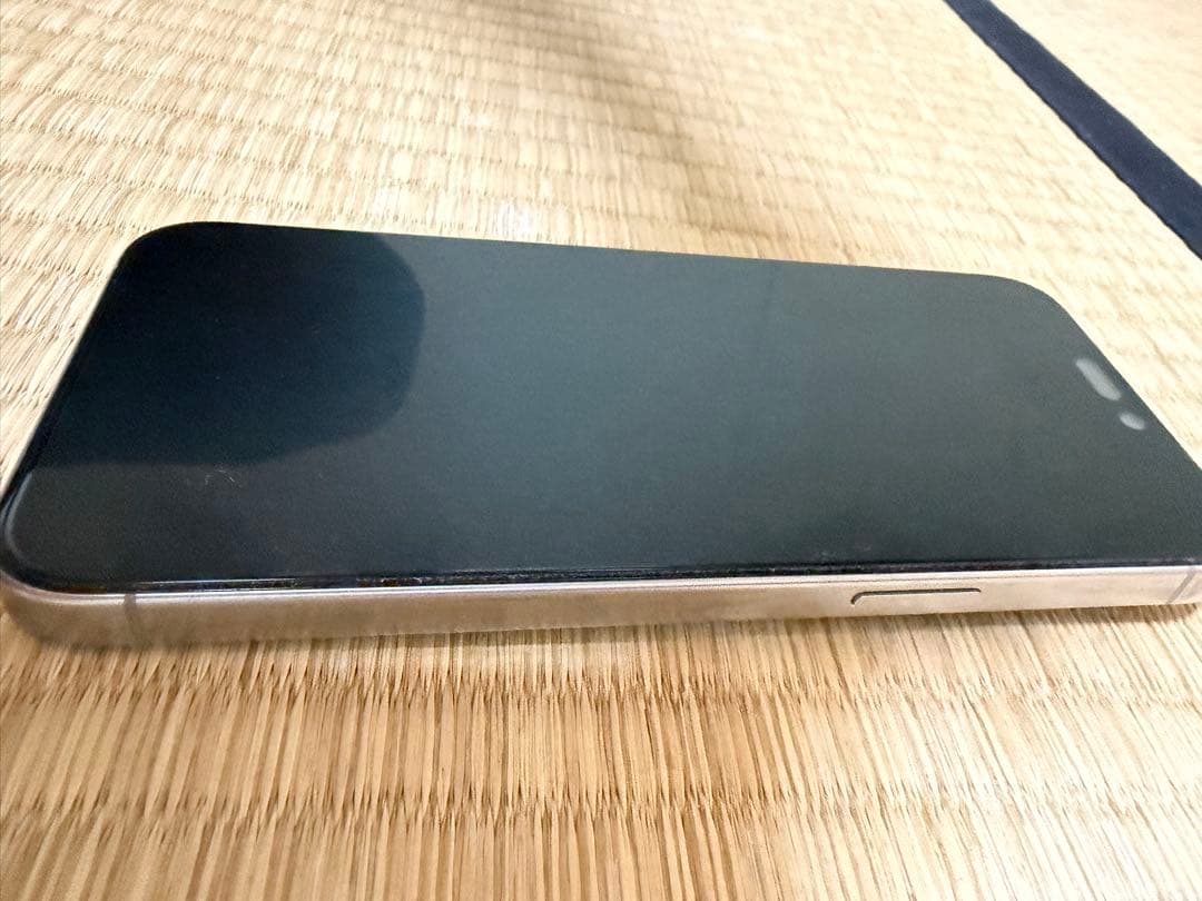 Apple iPhone 15 ProMAX 1TB シルバー 本体