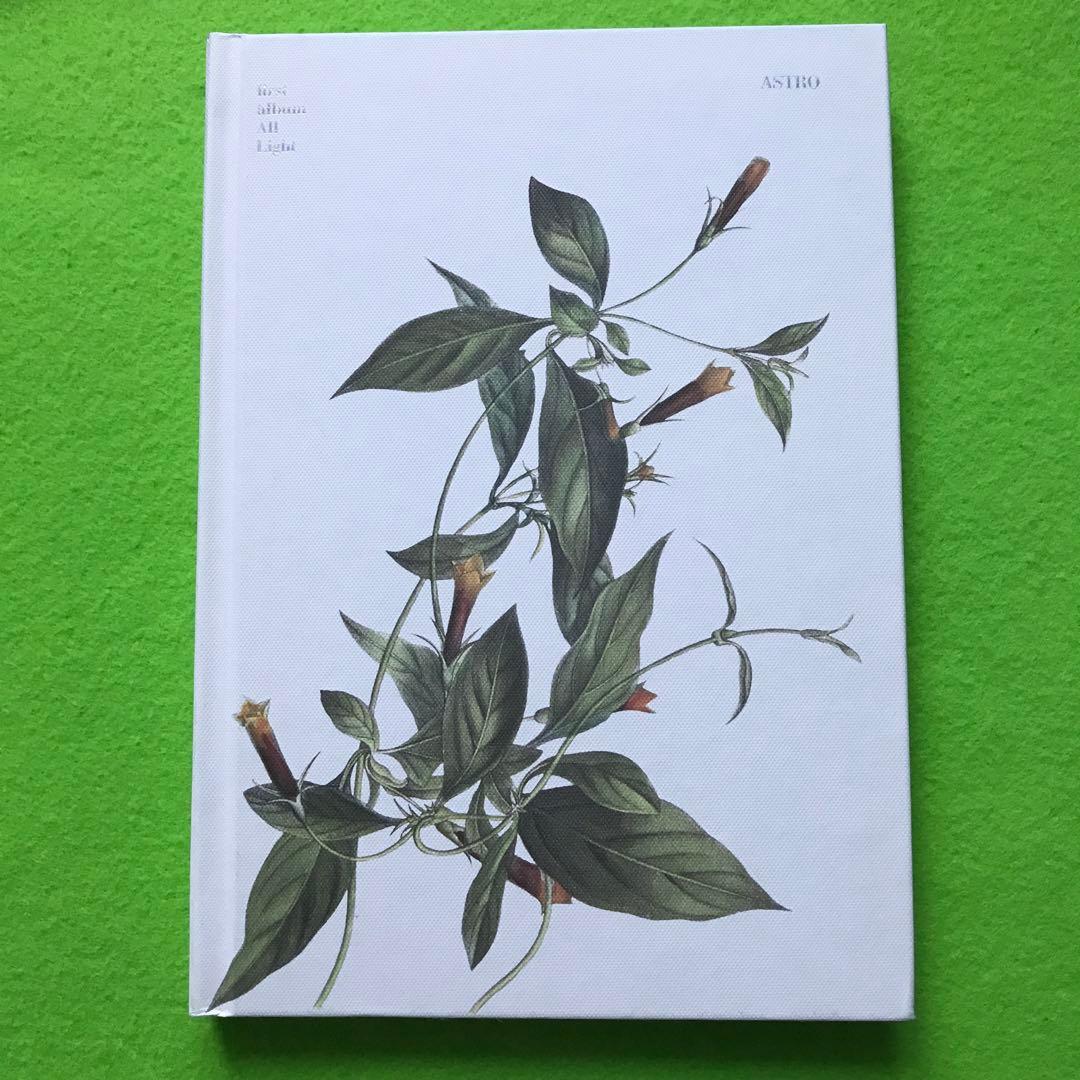 1500/予約済み　　All Light: Vol.1 (Green ver.)