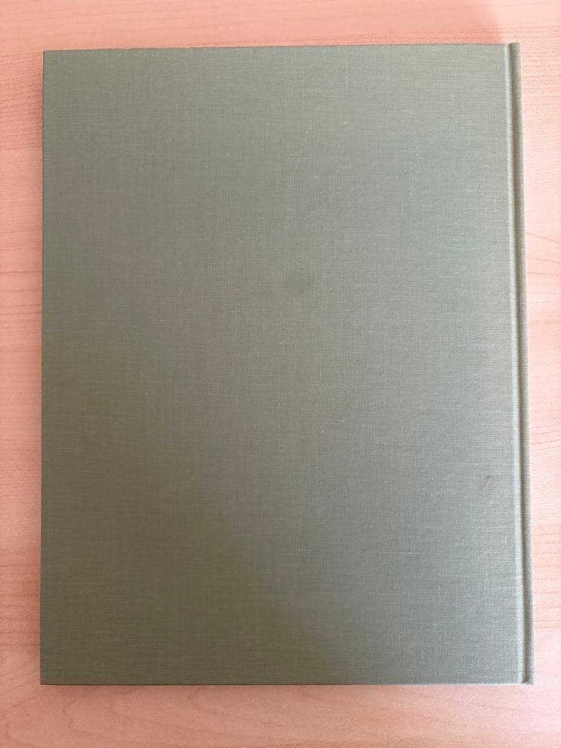 アート・デザイン・音楽 Terri Weifenbach the may sun