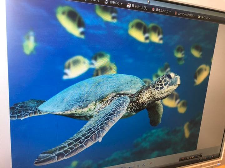 DELL SE198WFP ディスプレイ　19インチ