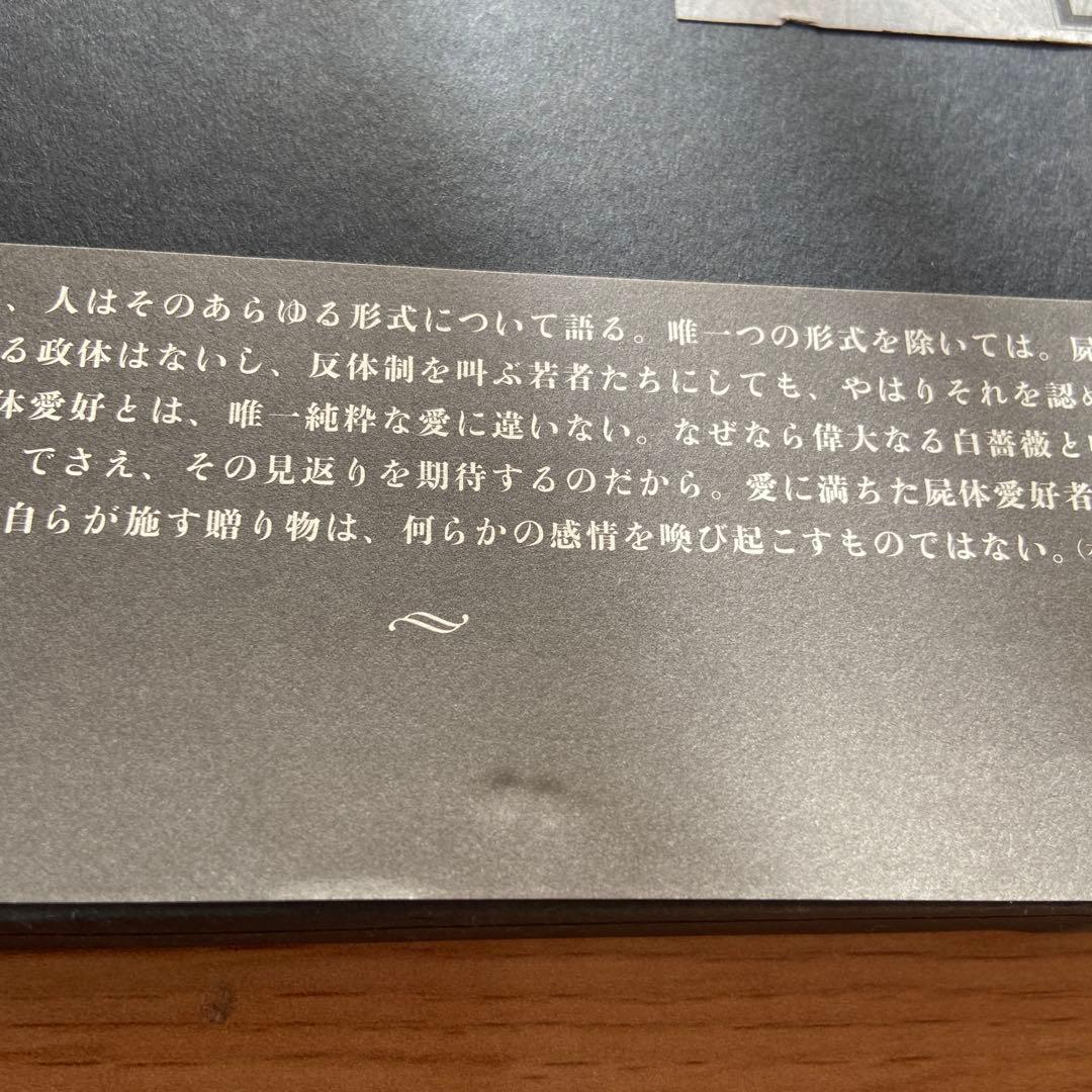 【絶版】ネクロフィリア ガブリエル・ヴィットコップ 国書刊行会