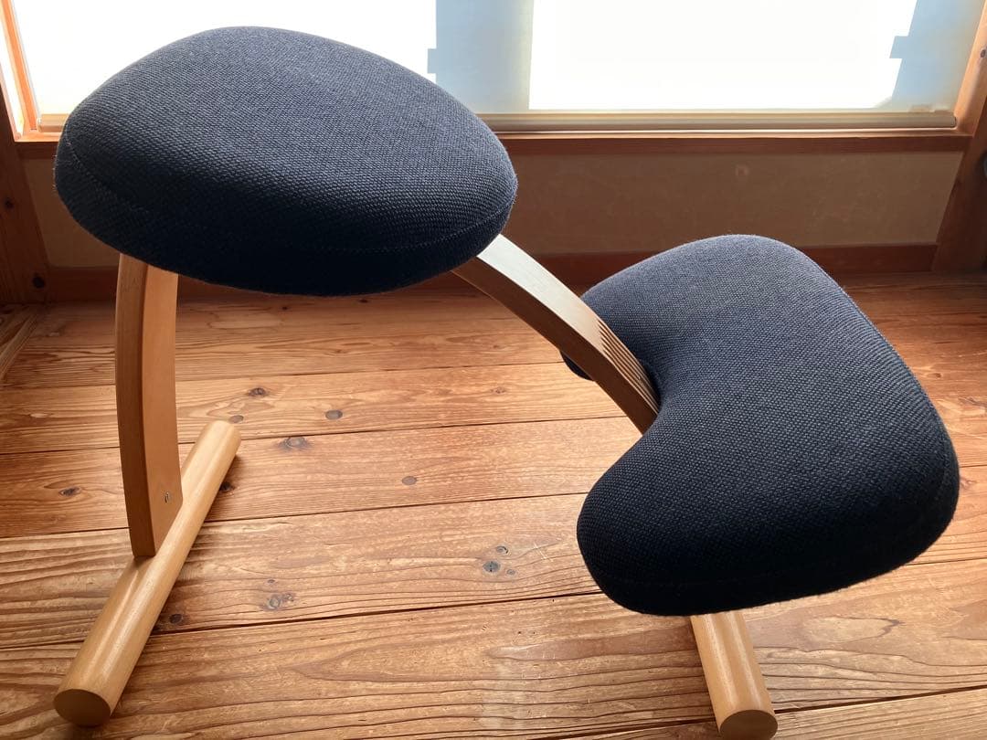 balans Easy バランスチェア ダークブルー