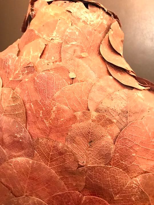 パリ前衛アート　プリザードリーフのボディー　トルソー　フランス製