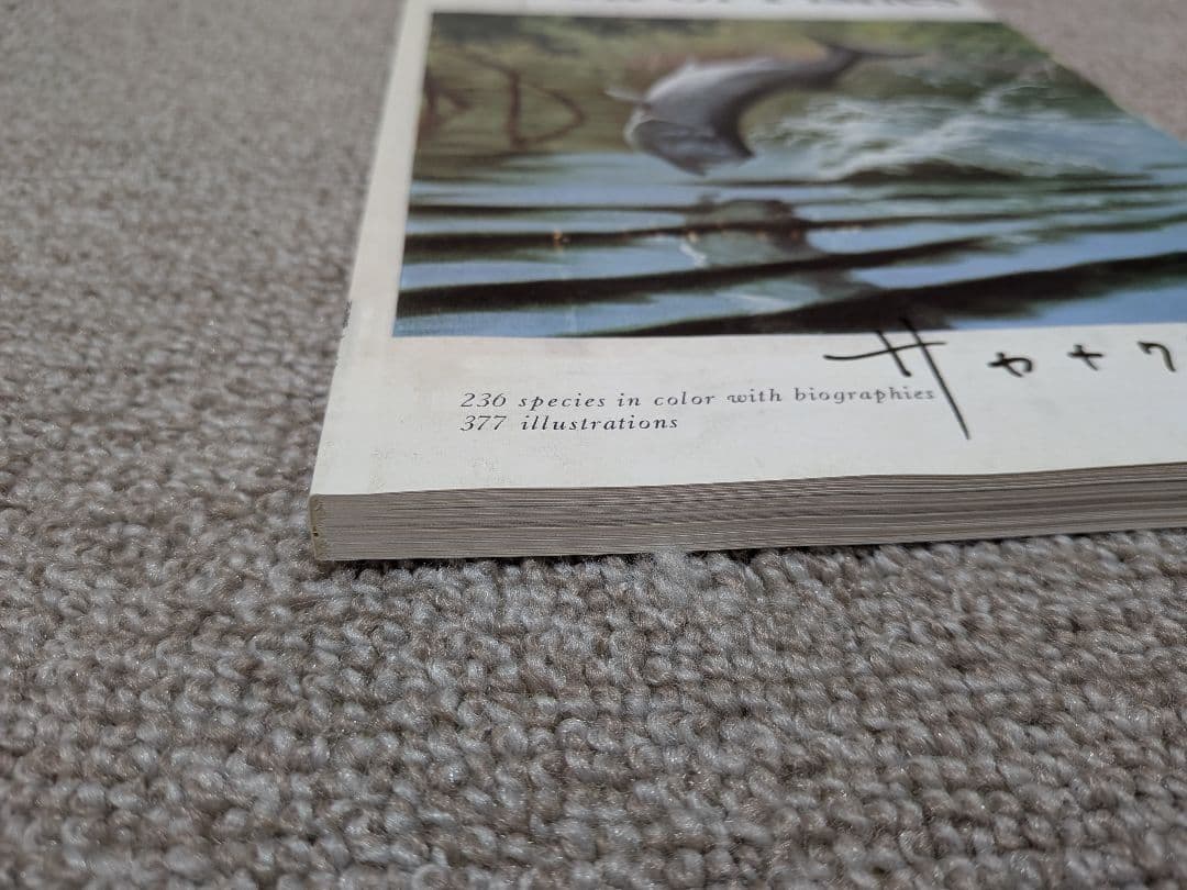 【美品】サカナクション 魚図鑑 完全生産限定盤プレミアムBOX（BOXなし）