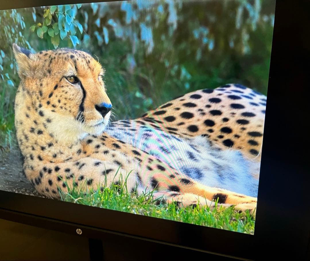 HP pavilion 32 QHD 液晶モニター ディスプレイ