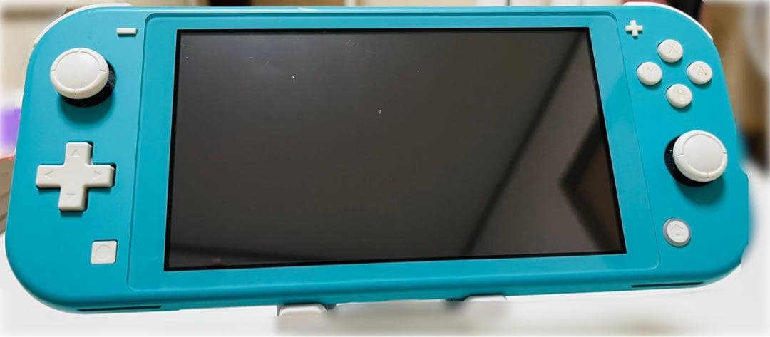 Nintendo Switch Lite 本体のみ