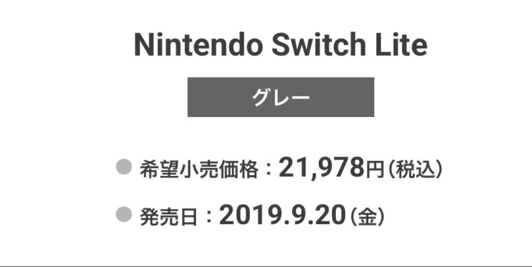 NintendoSwitchLight グレー 本体 カバー 充電器、おまけ付き