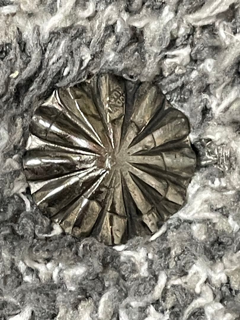 RHC 七里ヶ浜 ron herman barefoot dreams コンチョ