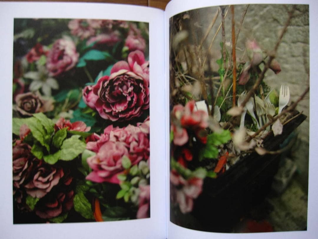 Printemps Paris　David Kregenow　 限定100部