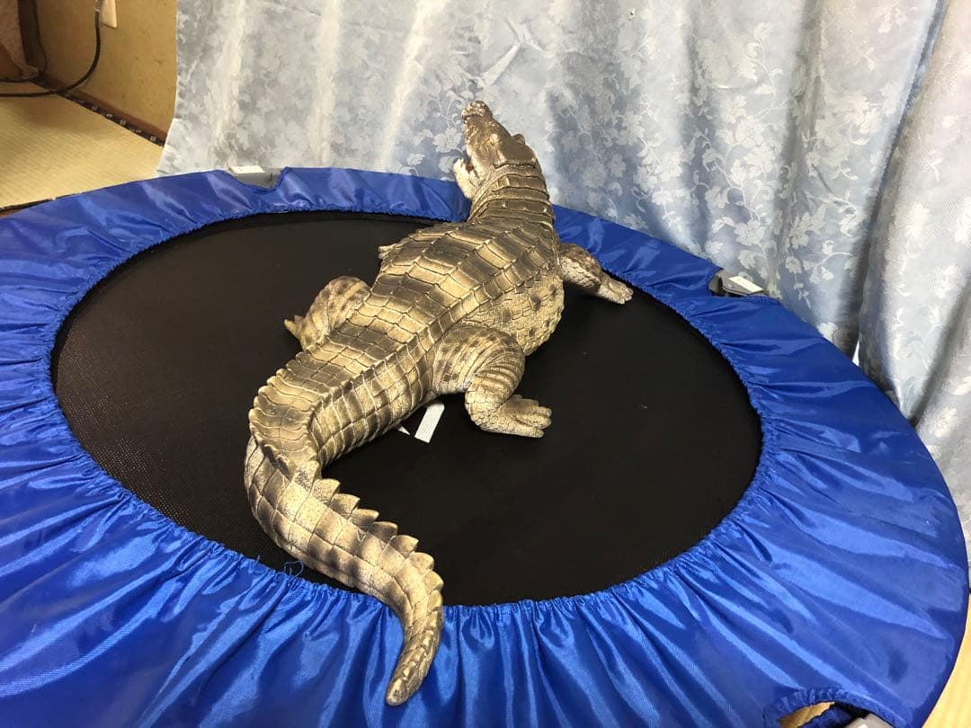 リアルなワニの置き物　約60cm