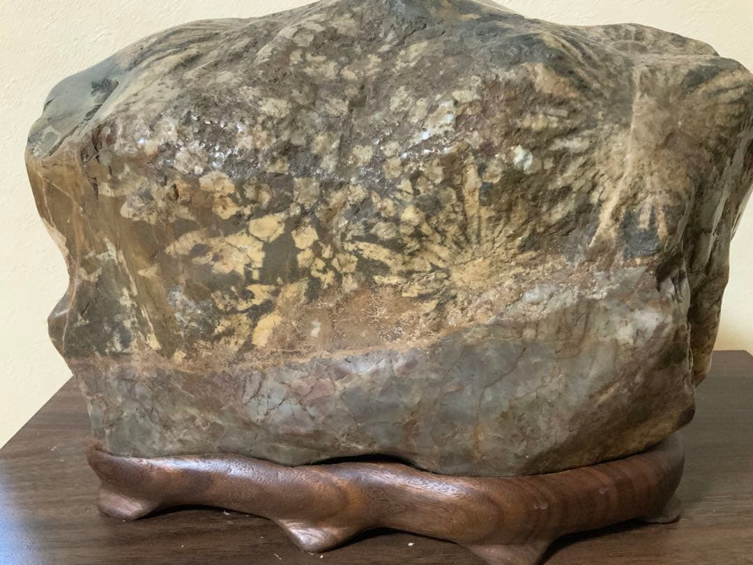 希少岐阜県根尾谷赤倉山菊花石