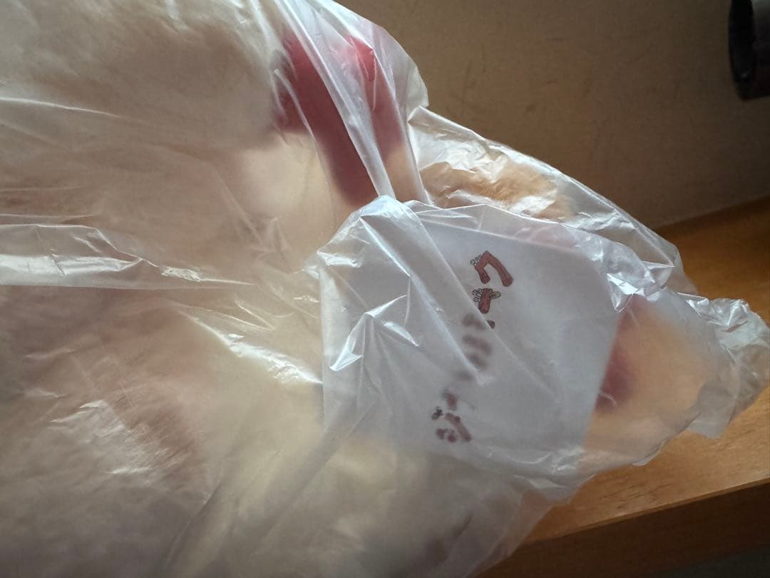 ジブリパーク　魔女の谷　ヒン特大ぬいぐるみ　ハウルの動く城