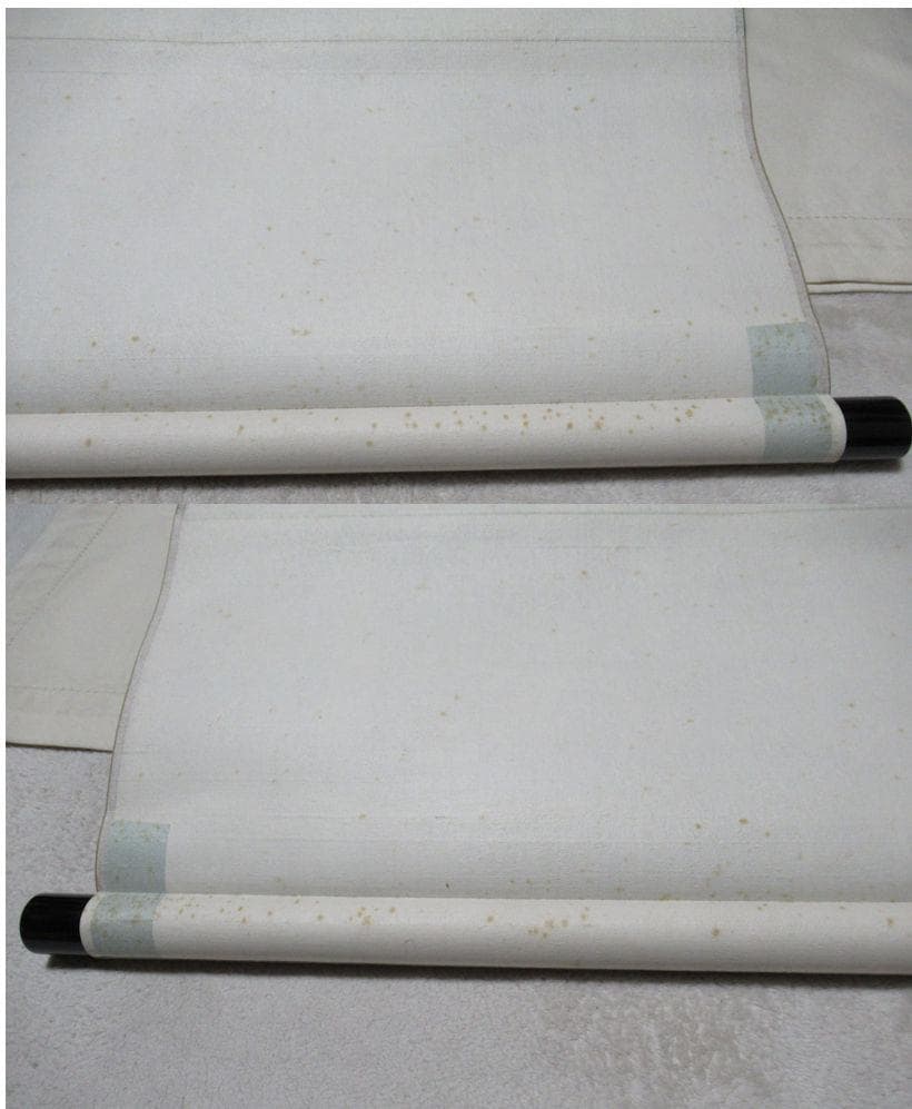 茶掛　表千家尋牛斎直筆　松風　懐紙に自筆　共箱