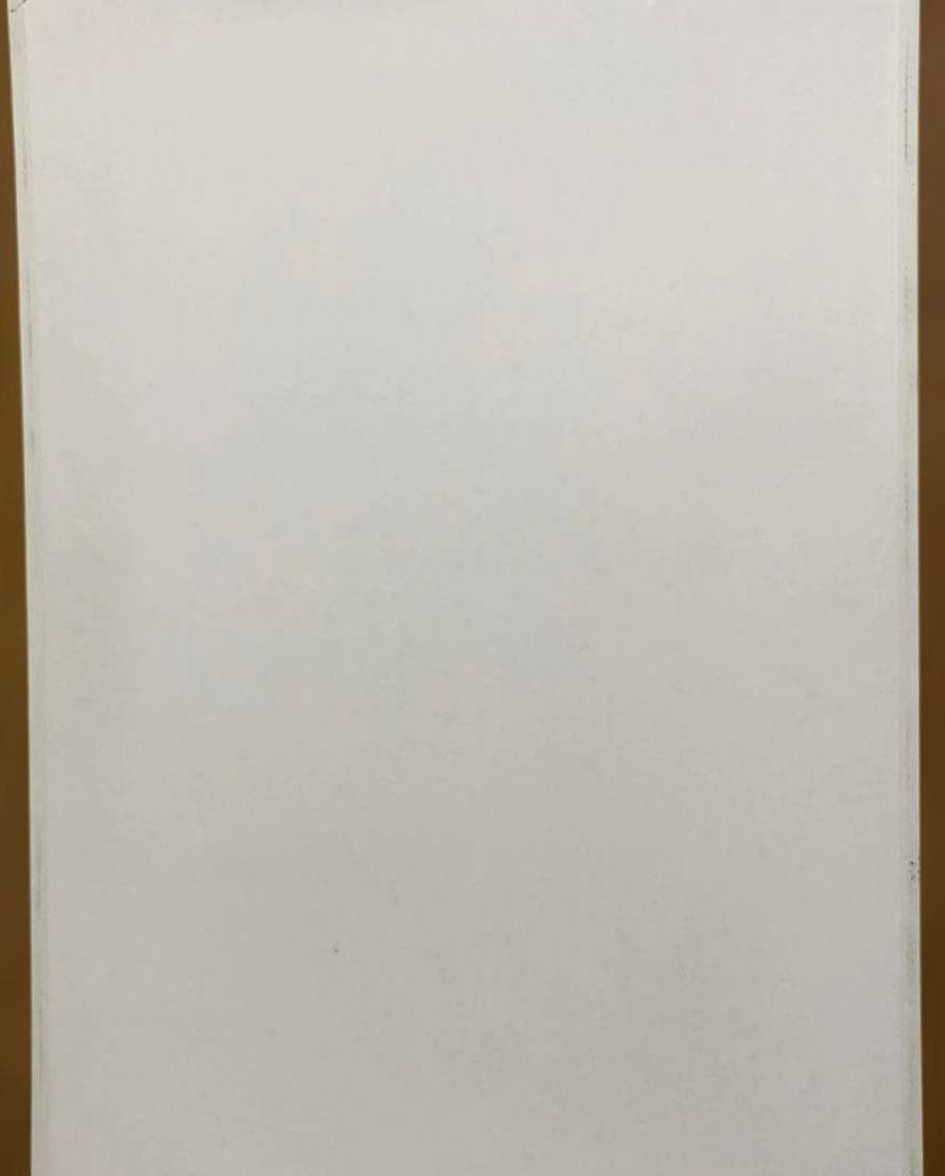 カイロプラクティック　人体神経系統図パネル 自律神経系統図パネル2枚セット