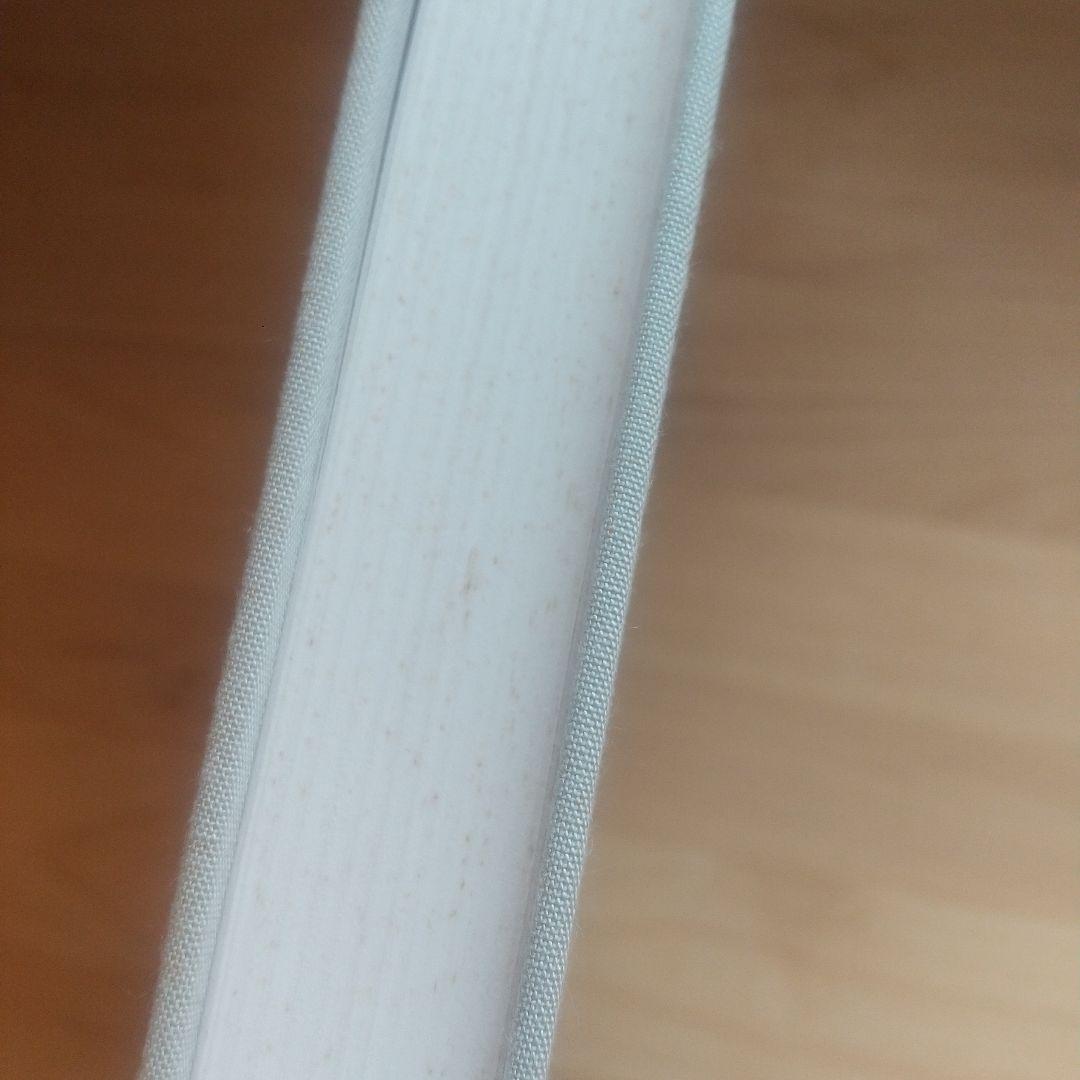 【卵さま専用】サイ・トゥオンブリーの写真 変奏のリリシズム　Cy Twombly