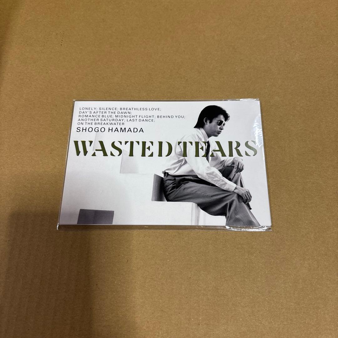 浜田省吾　レコード　WASTED TEARS