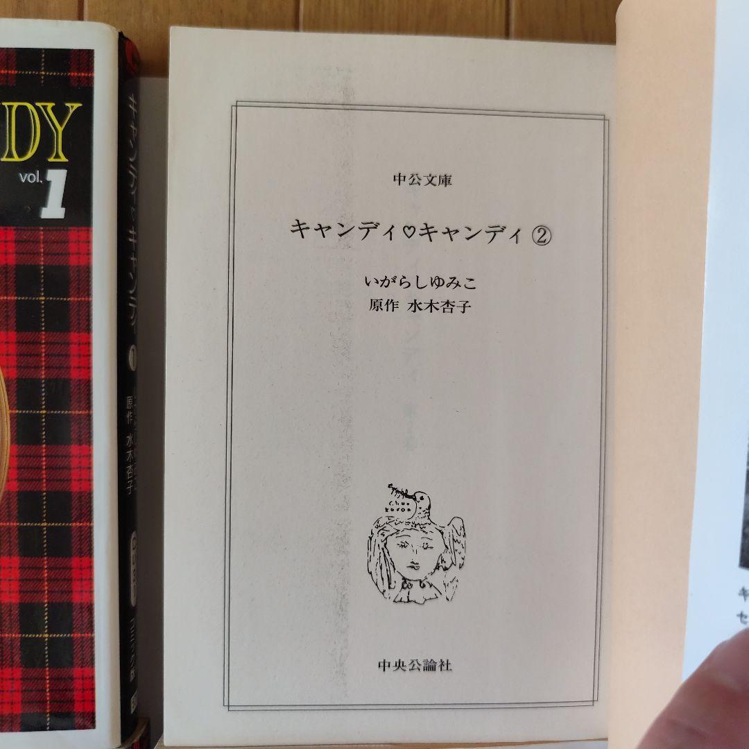 キャンディ♡キャンディ 　文庫本　全巻　セット