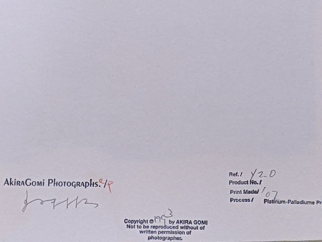 五味 彬「 Yellows 」特装版 175部 プリント付き