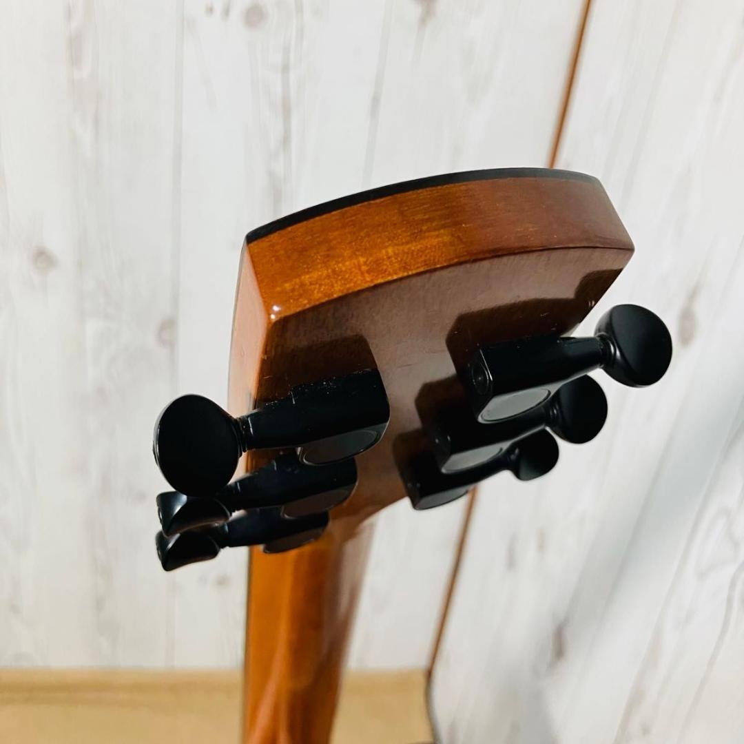 【希少 美品】aNueNue Bird M12 ソフトケース付き アヌエヌエ