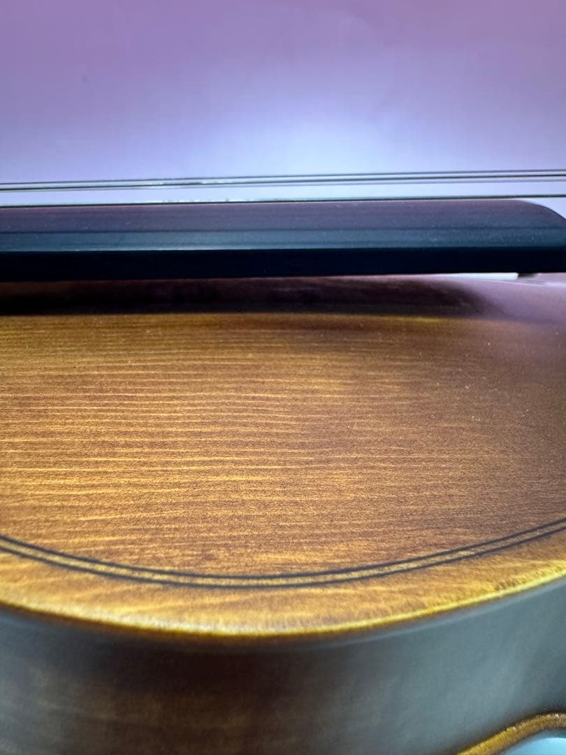 希少 バイオリンHallstatt ハルシュタット V 12 付属品多数