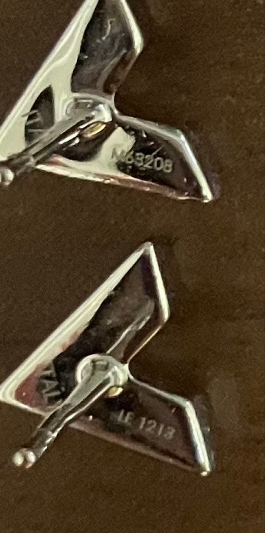 Louis Vuitton V字型ピアス