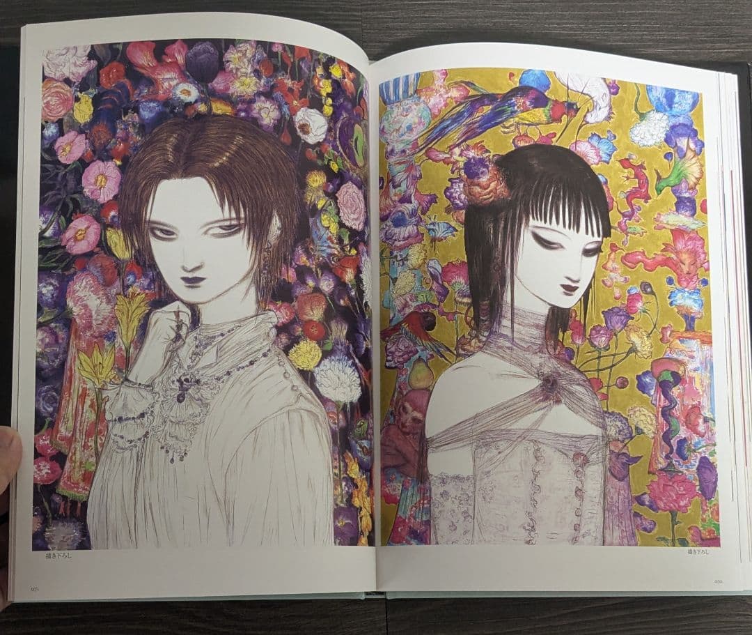 天野喜孝 乱歩幻影画集