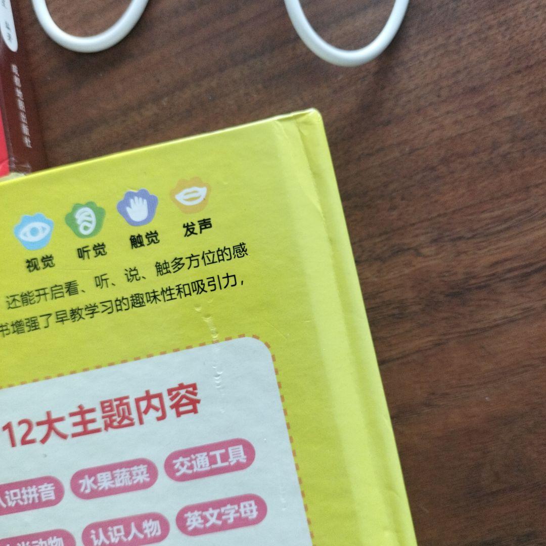 中国語　会说话的有声书 & 识字大王 セット