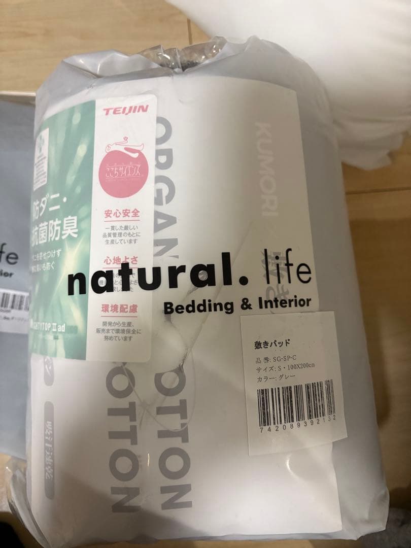 RASIK Famite LED照明付きローベッド シングル グレー&マット付き