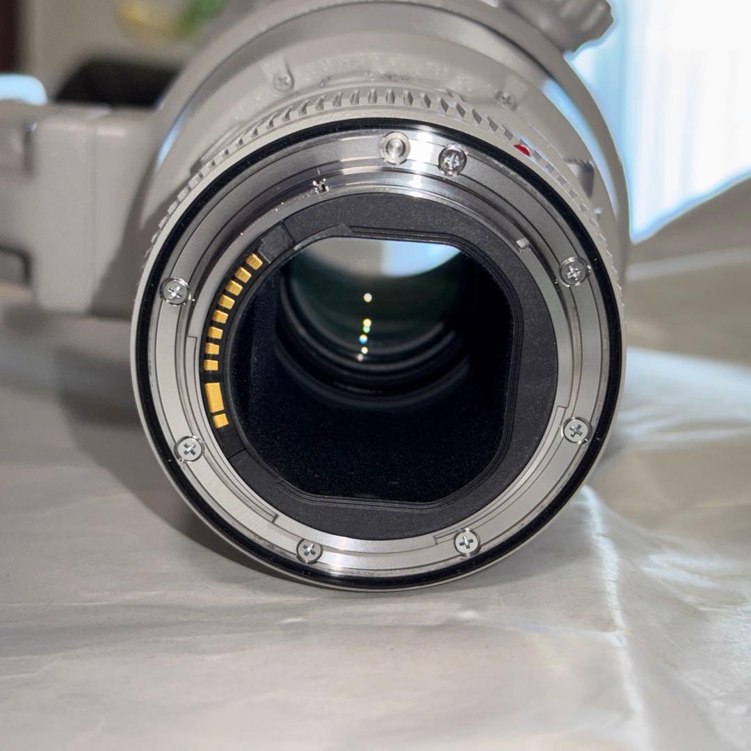 キャノン大口径単焦点レンズ EF500mm F4L IS II USM