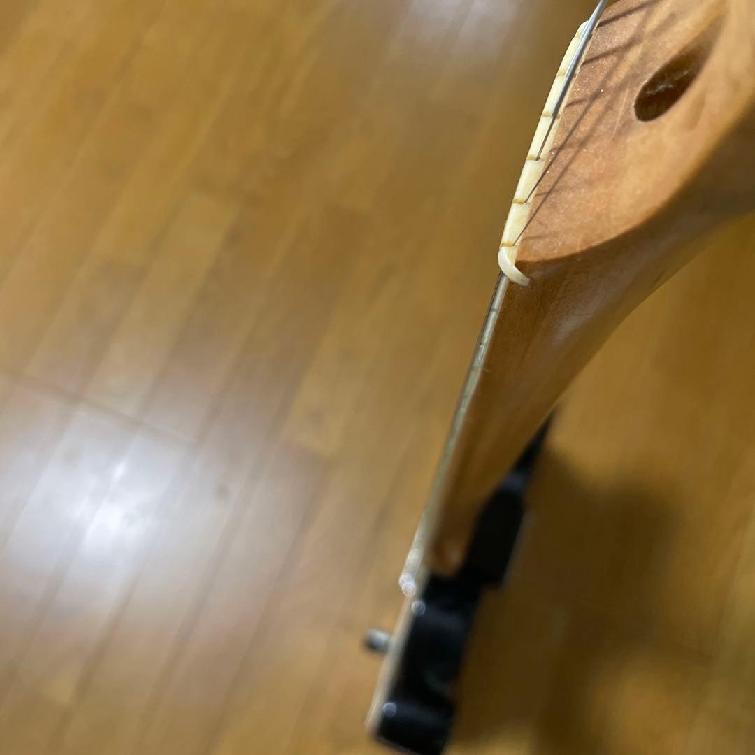 生産終了品 Bacchus Universe Series テレキャスタータイプ