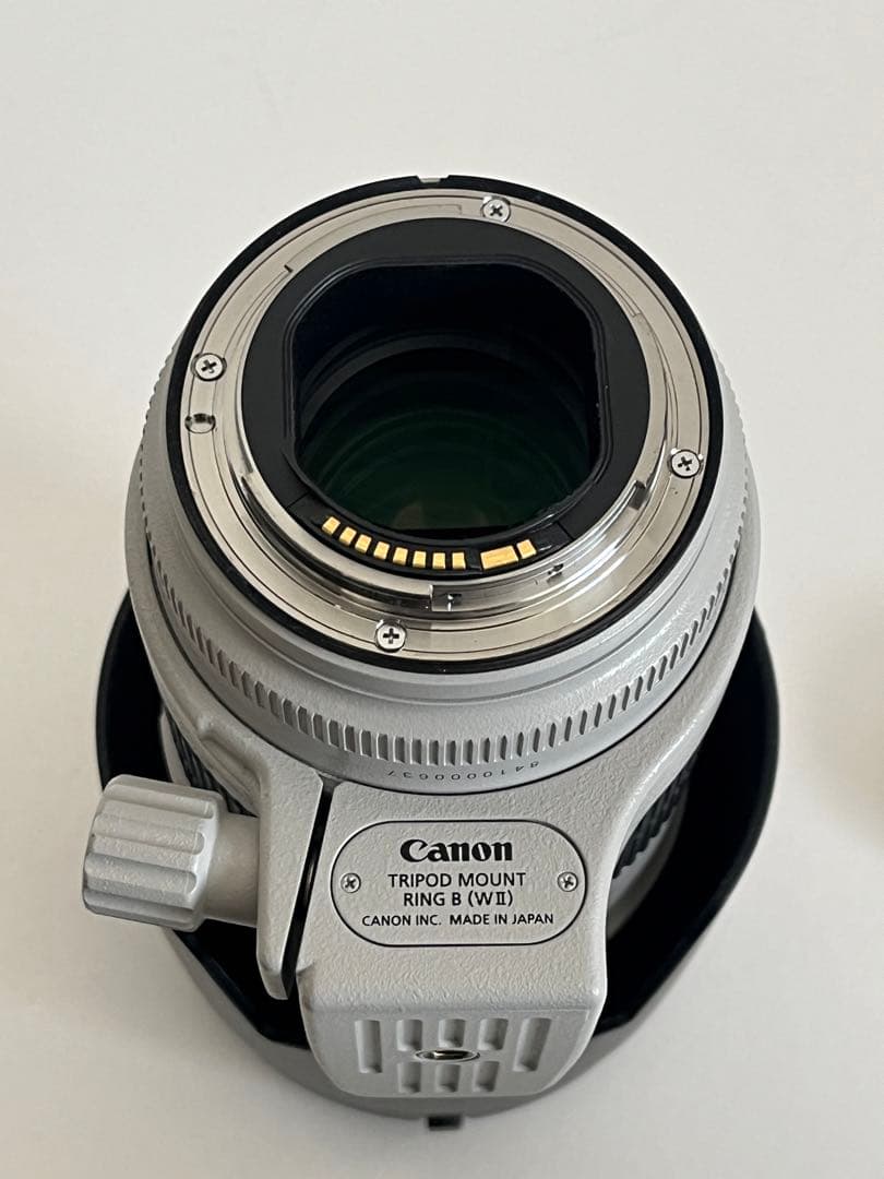 【レッド】Canon EF 70-200mm F2.8L IS Ⅲ USM
