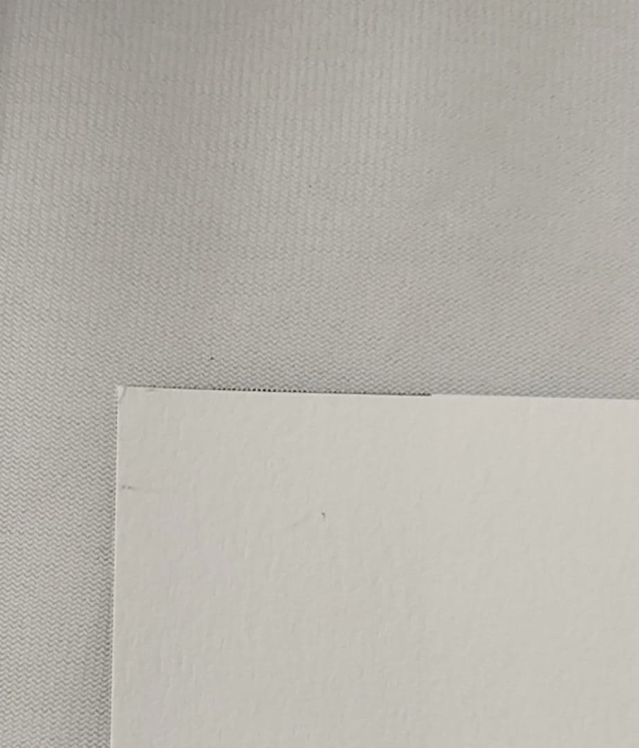 TYPE-MOON　月姫読本(白本)　奈須きのこ　希少品