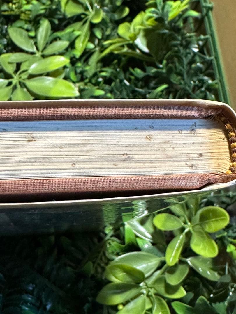 Western Memorabilia 西部開拓時代の収集品写真集