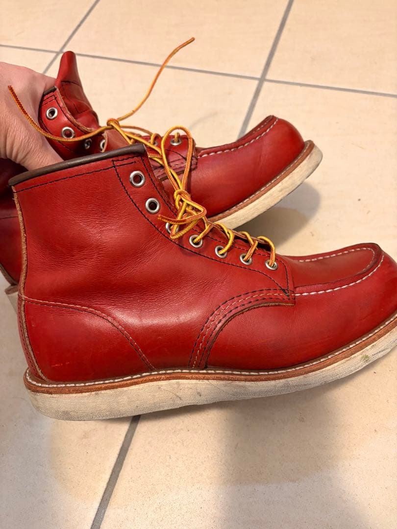 レッドウイング　犬タグ　8875 E 26センチ