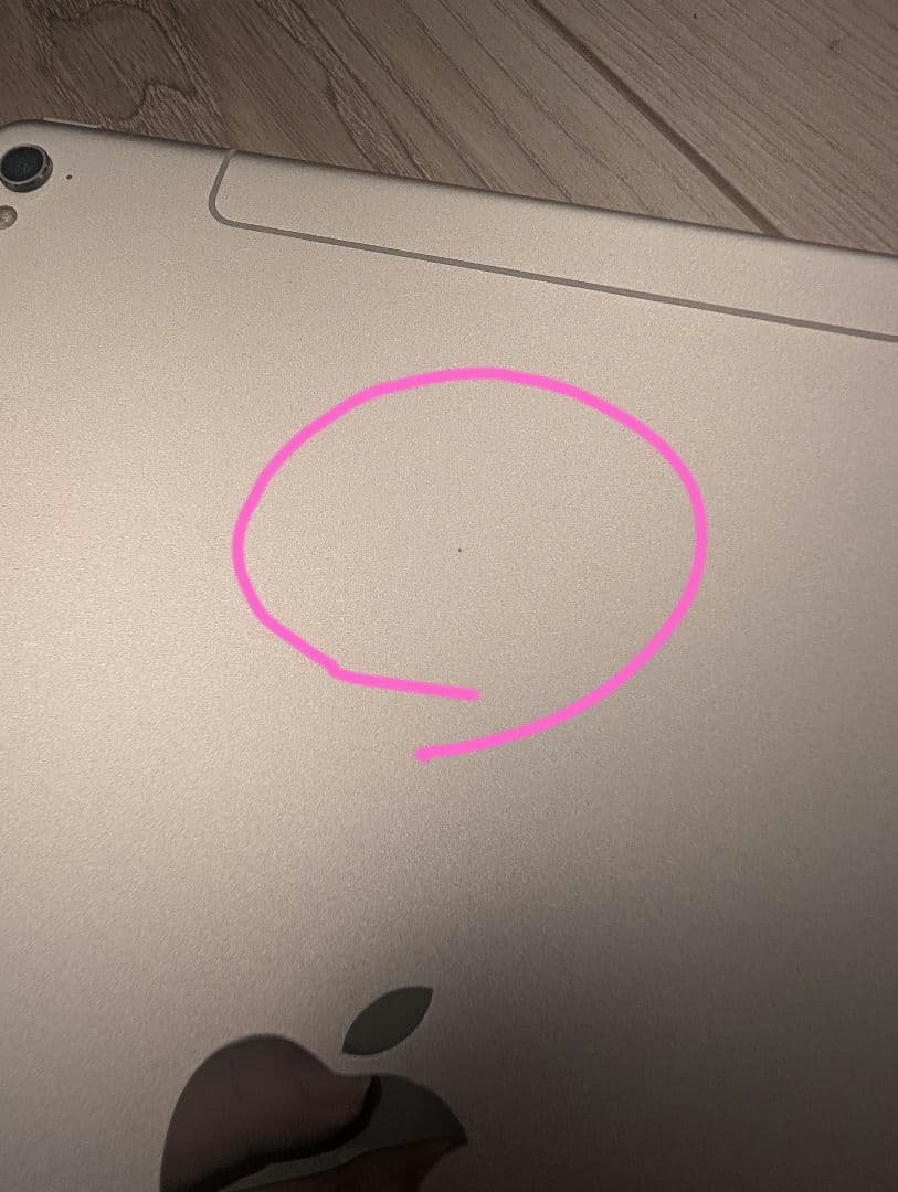 む*り様 iPad Pro 9.7 128GB Cellularモデル