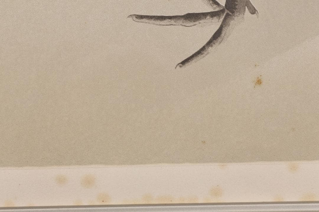 【真作】 上村松篁　丹頂 一対　182/250　タトウ付　木版画　絵画 額装 鶴