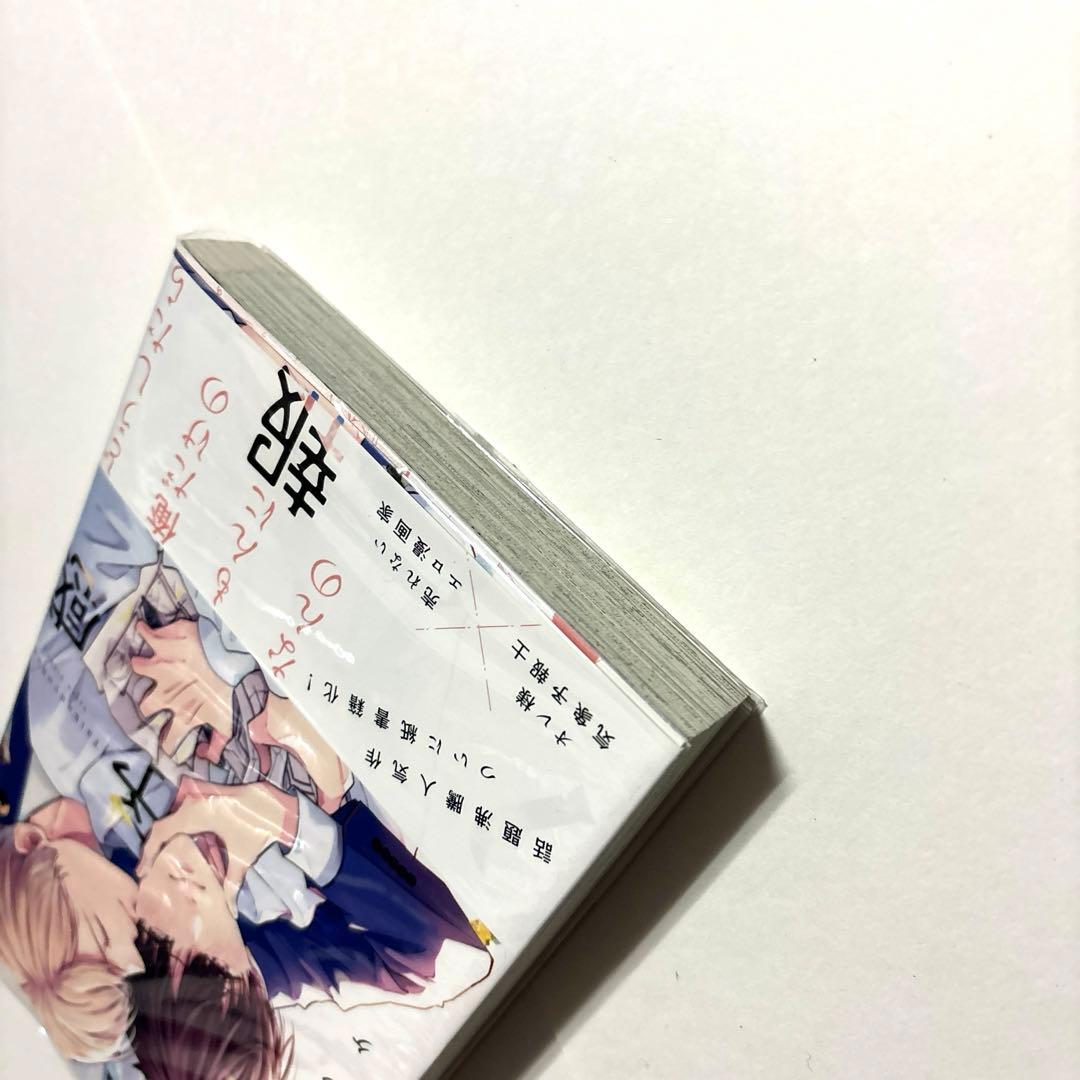 7点セット 体感予報 鯛野ニッケ