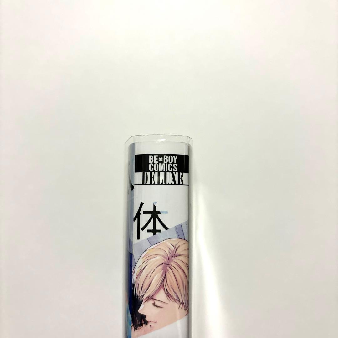 7点セット 体感予報 鯛野ニッケ