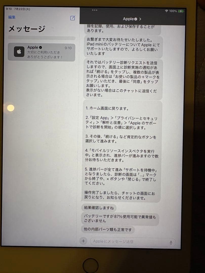 動作品・ジャンク品 iPad mini 第5世代 Wi-Fiモデル 64GB