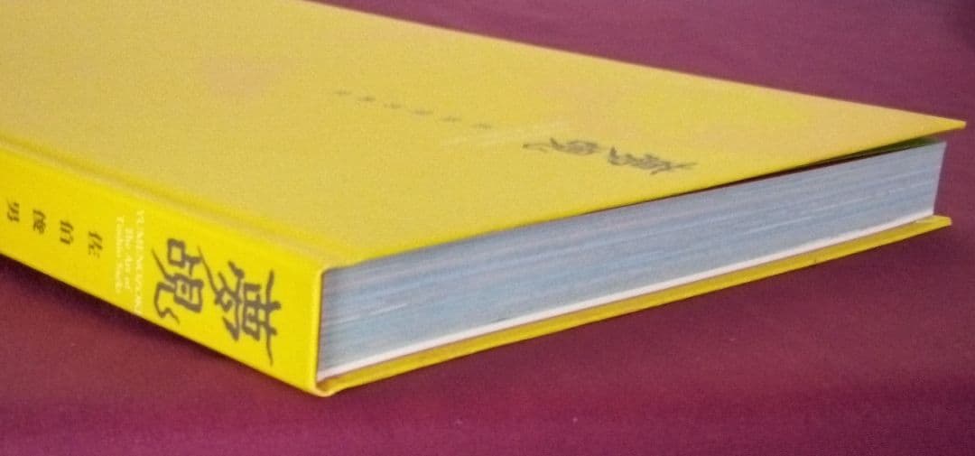 夢覘 = YUMENOZOKI : 佐伯俊男画集