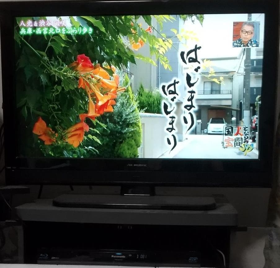 1TB-W録-3D-Panasonic BDレコーダーDMR-BWT500完動品