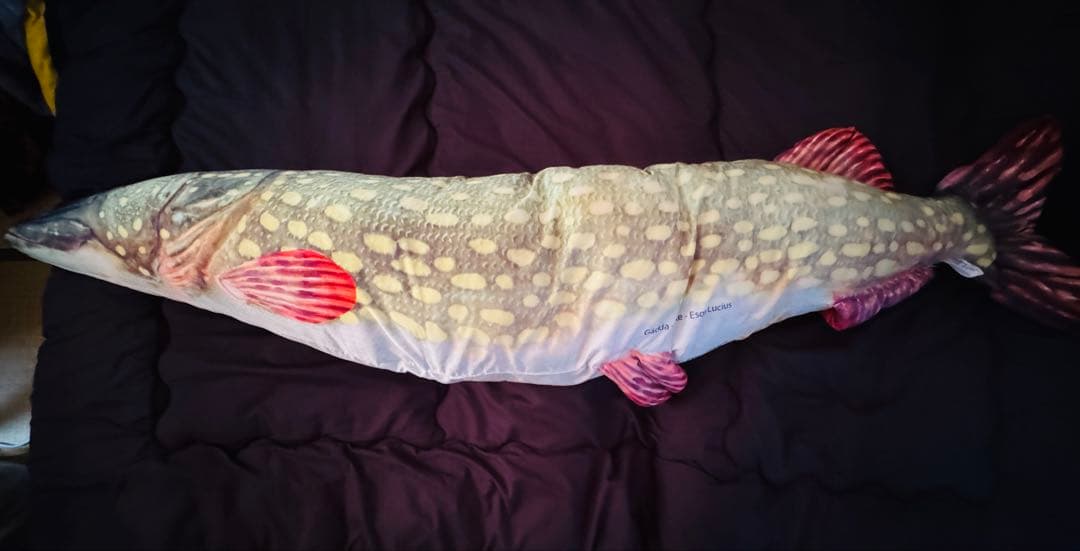 DULTON FISHES PIKE 195 クッション抱き枕